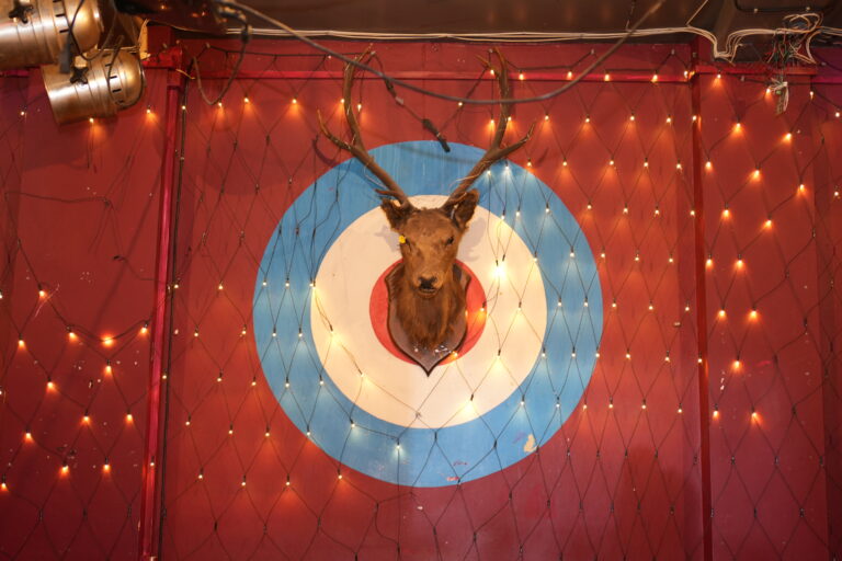 Mounted stag’s head on a target on the wall