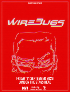 Wirebugs at The Stag's Head event artwork